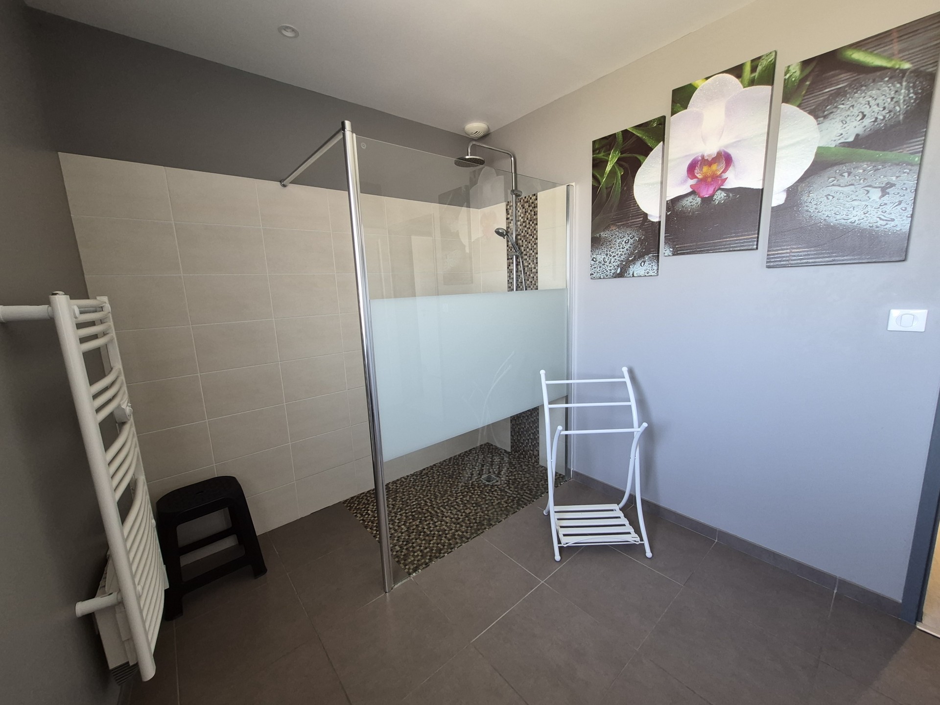 Salle d'eau R+1